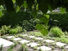 DSCF0198